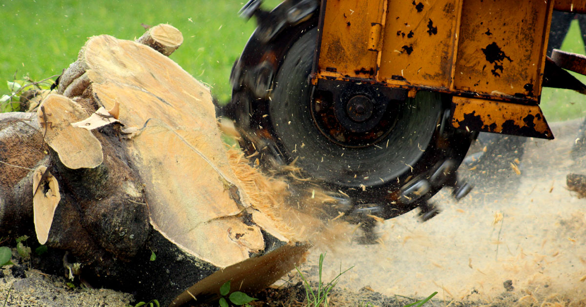 Stump Grinding Services, Richland WA